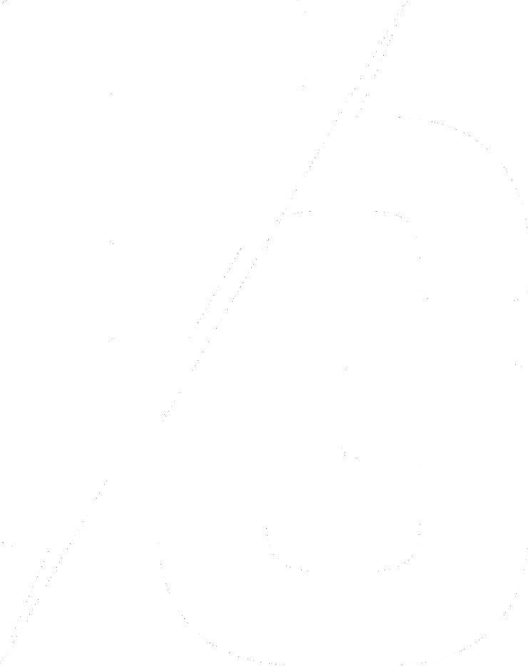 Logo Ferrari Gym